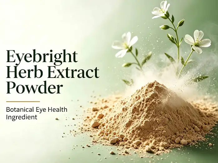 Eyebright Herb Extract Manufacturer for Dietary Supplement Brands